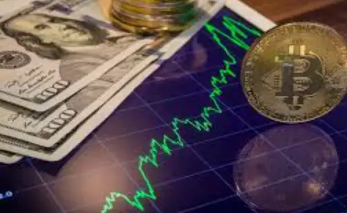 Поведенческое зерно: что двигает решениями