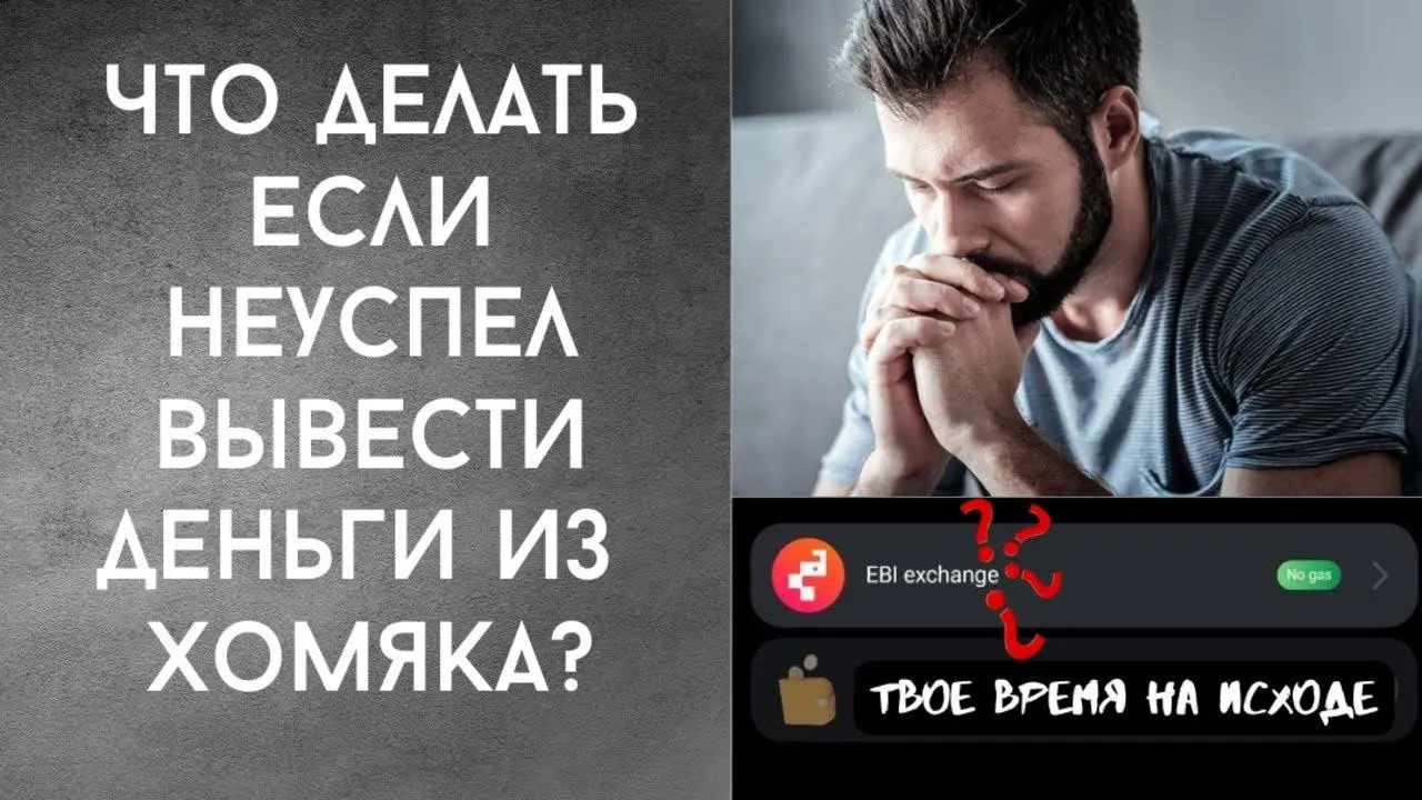 как вывести деньги с хомяка ebi exchange