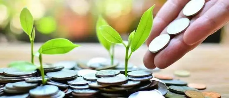 чем отличается трейдер от инвестора чем отличается трейдер от инвестора