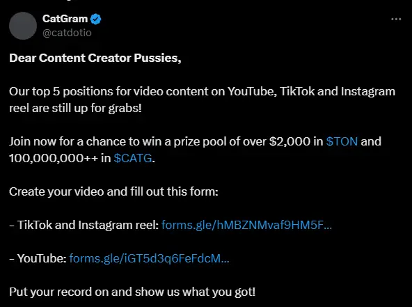 CatGram отзывы CatGram отзывы