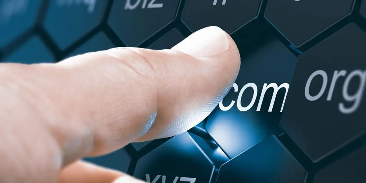 Какие виды киберсквоттинга бывают Какие виды киберсквоттинга бывают