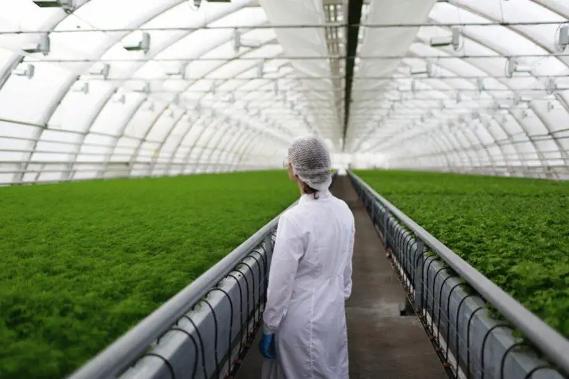 akcii-selskogo-hozyaystva акции сельского хозяйства